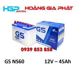 BÌNH ẮC QUY GS NS60